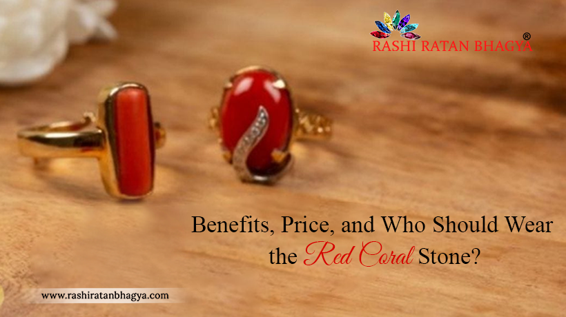 Benefits, Price, and Who Should Wear the Red Coral Stone?