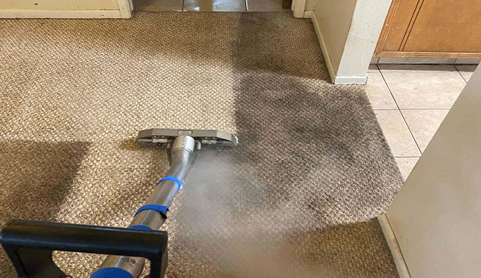 Why Regular Carpet Cleaning Matters – Benefits You Need to Know